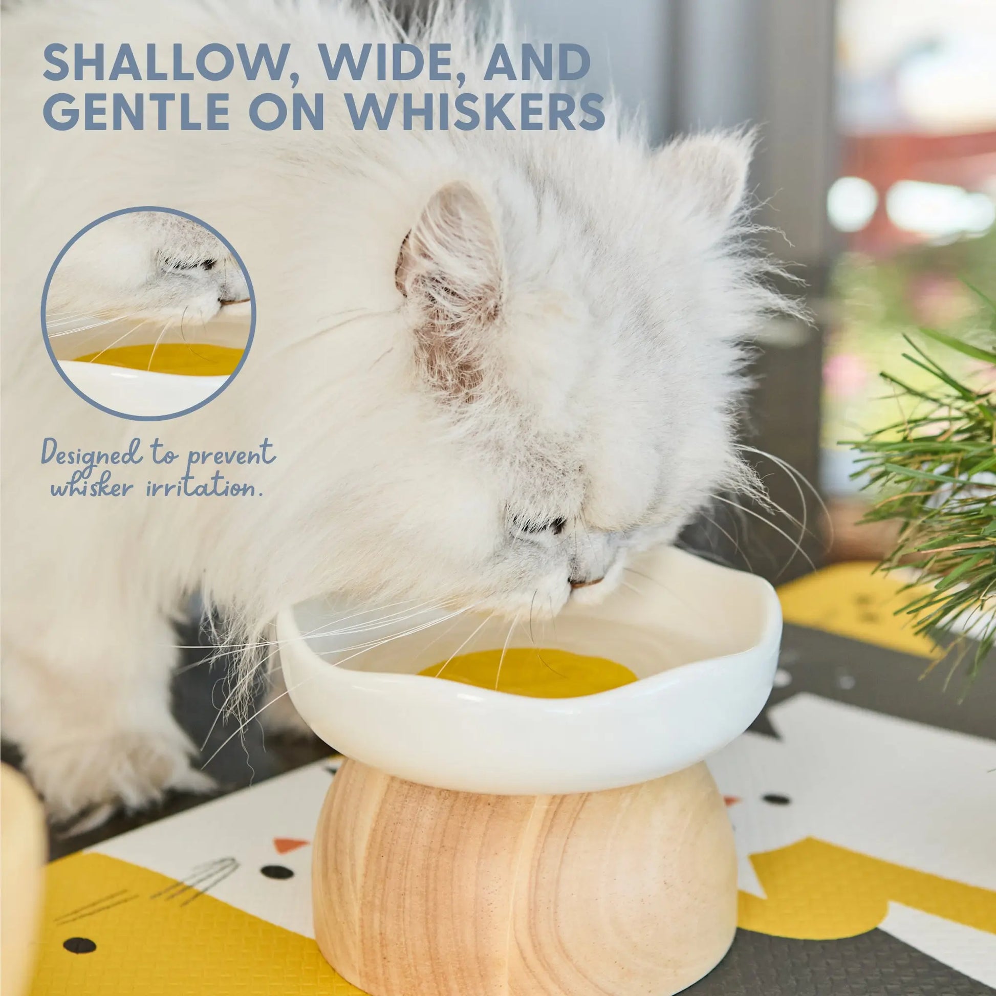 EggNest™ Elevated Cat Bowl – Cute Modern Feeding Dish