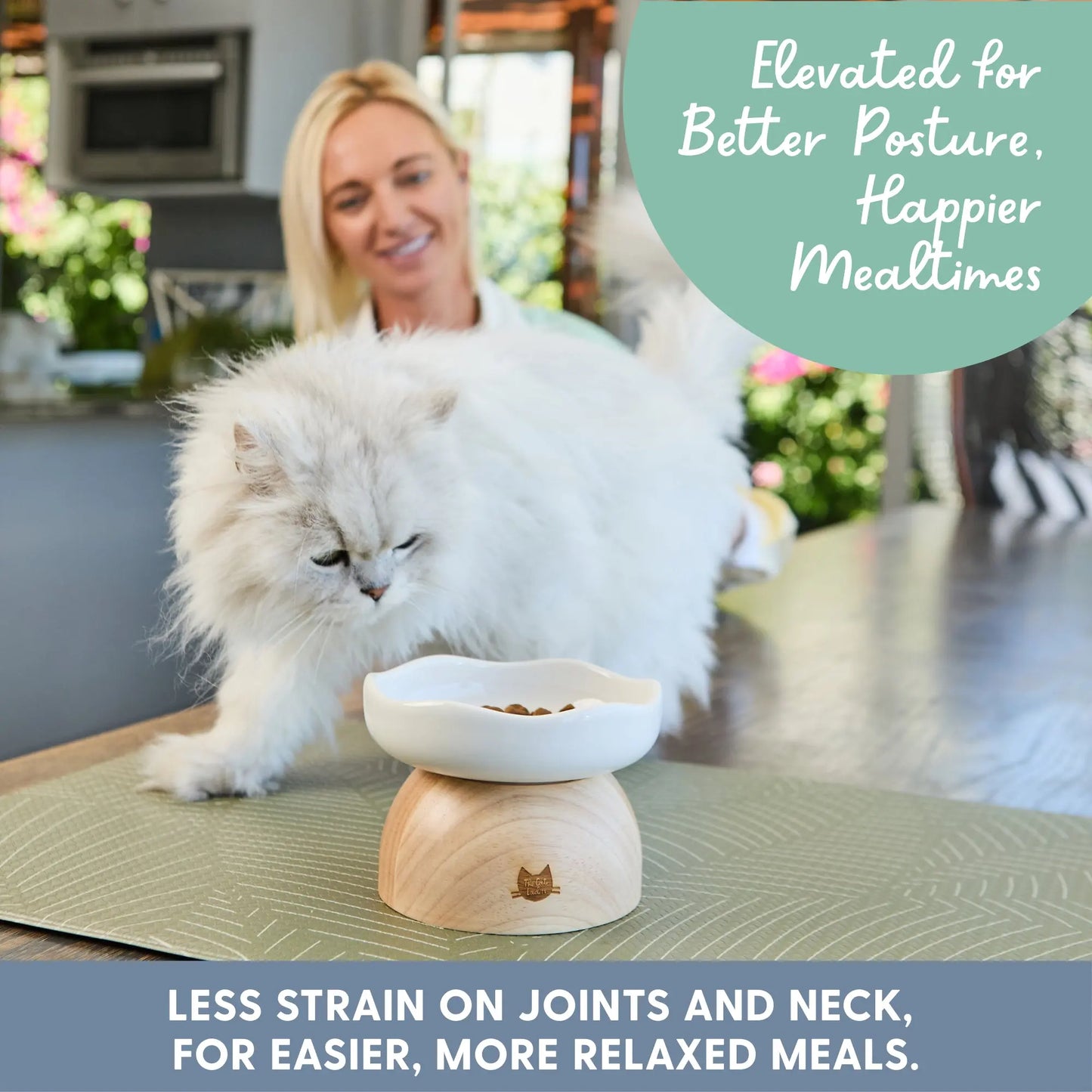 EggNest™ Elevated Cat Bowl – Cute Modern Feeding Dish