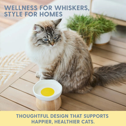 EggNest™ Elevated Cat Bowl – Cute Modern Feeding Dish
