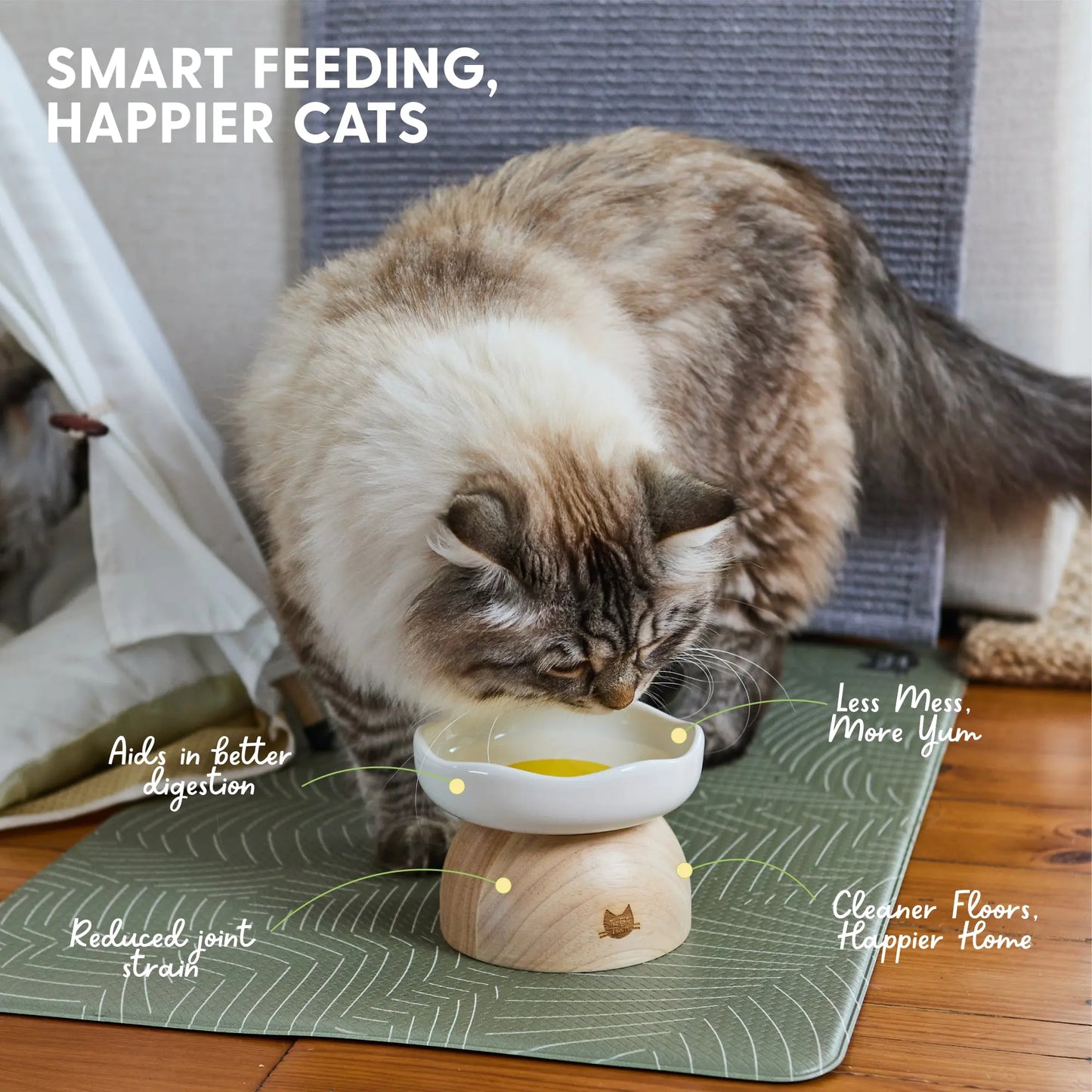 EggNest™ Elevated Cat Bowl – Cute Modern Feeding Dish